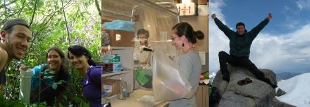 Undergraduate Programs